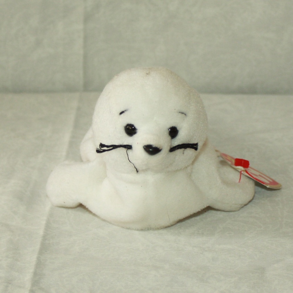 Seamore the seal